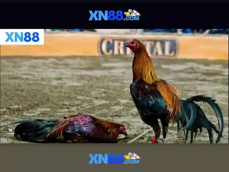 https://mozhesalon.com/images/text/xn88/xn88-text26031214.webp
