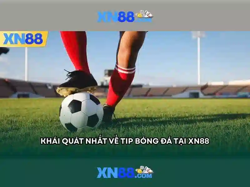 https://mozhesalon.com/images/text/xn88/xn88-text2603121413.webp