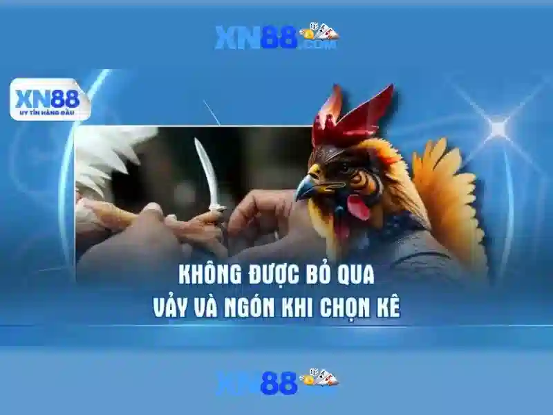 xn88 – Nền tảng giải trí trực tuyến và đánh giá