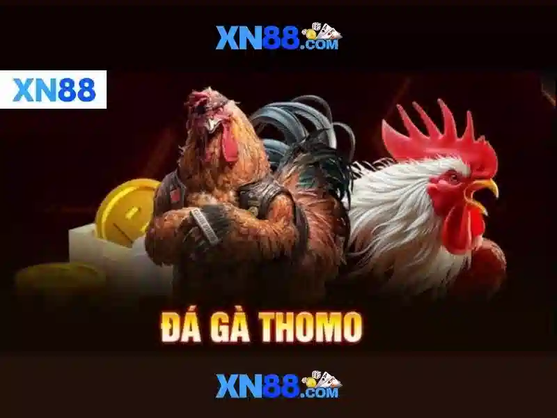 xn88 trong mắt người chơi Việt