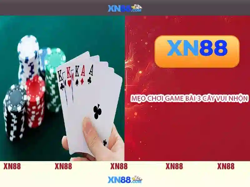https://mozhesalon.com/images/text/xn88/xn88-text260312285.webp