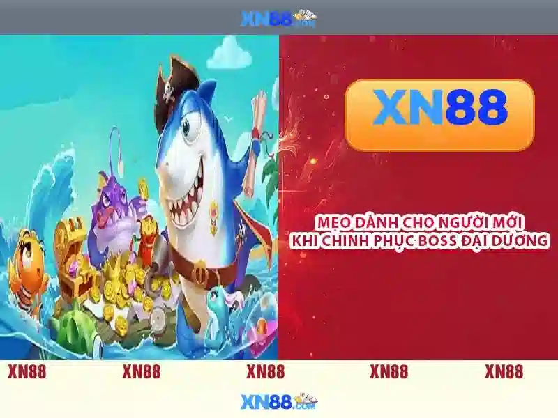 XN88 la gi va nhung dieu can biet