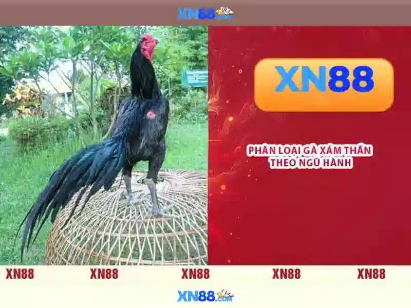 xn88: Đánh giá, đăng ký và trải nghiệm game trực tuyến an toàn