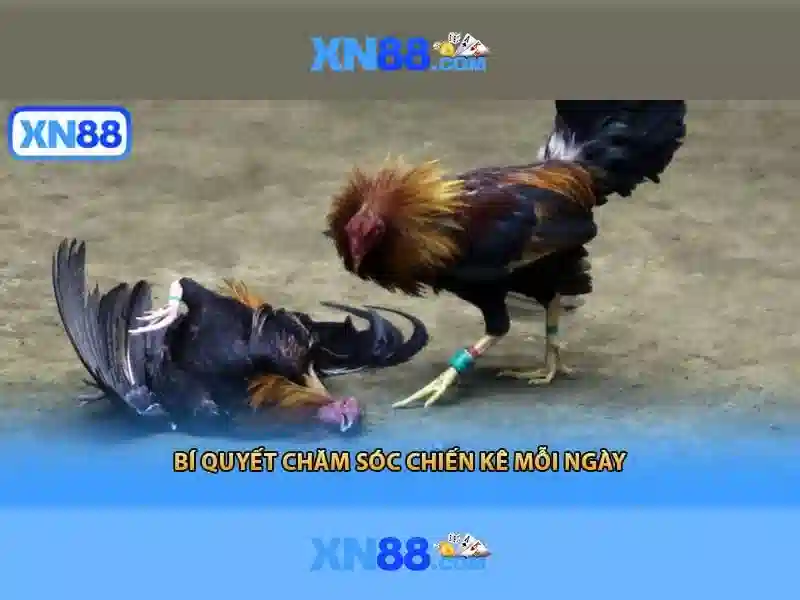 https://mozhesalon.com/images/text/xn88/xn88-text260312501.webp