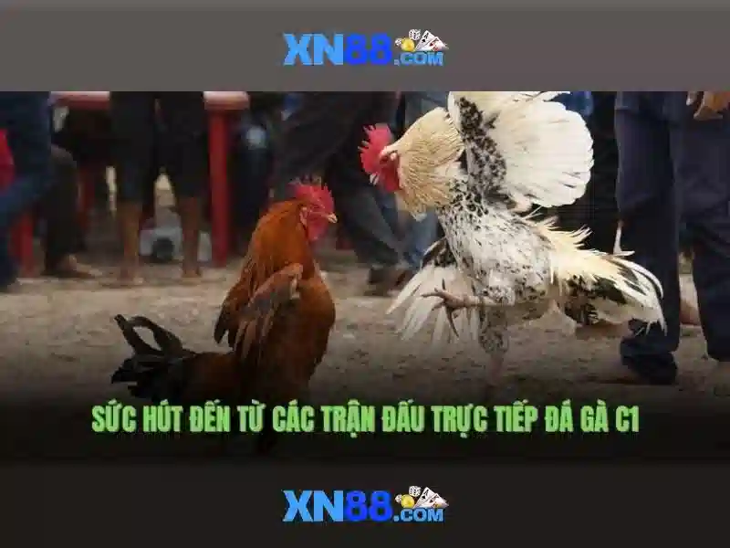 https://mozhesalon.com/images/text/xn88/xn88-text2603301928.webp