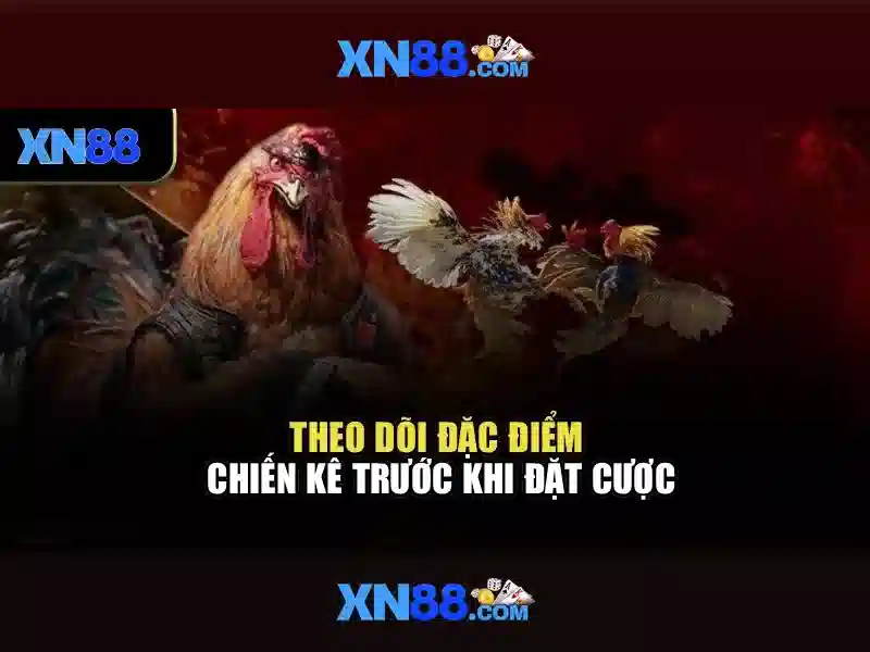 https://mozhesalon.com/images/text/xn88/xn88-text2603302004.webp