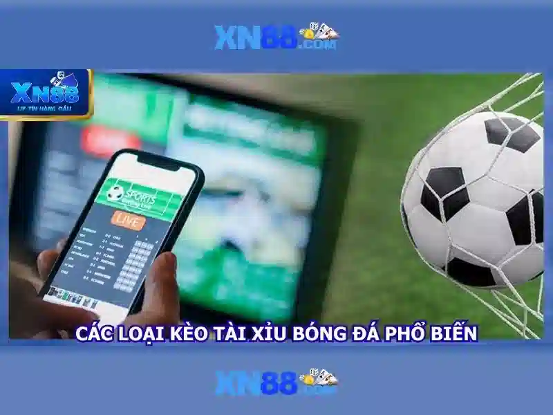 https://mozhesalon.com/images/text/xn88/xn88-text260330431.webp