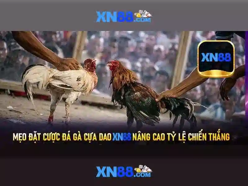 https://mozhesalon.com/images/text/xn88/xn88-text26033070.webp