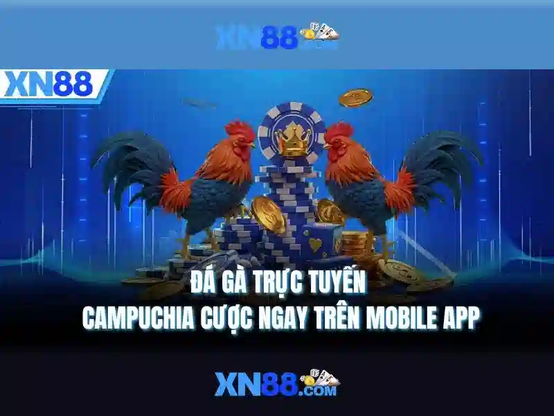 https://mozhesalon.com/images/text/xn88/xn88-text260330707.webp