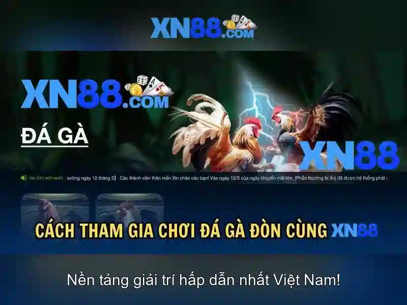 https://mozhesalon.com/images/text/xn88/xn88-text2603311142.webp