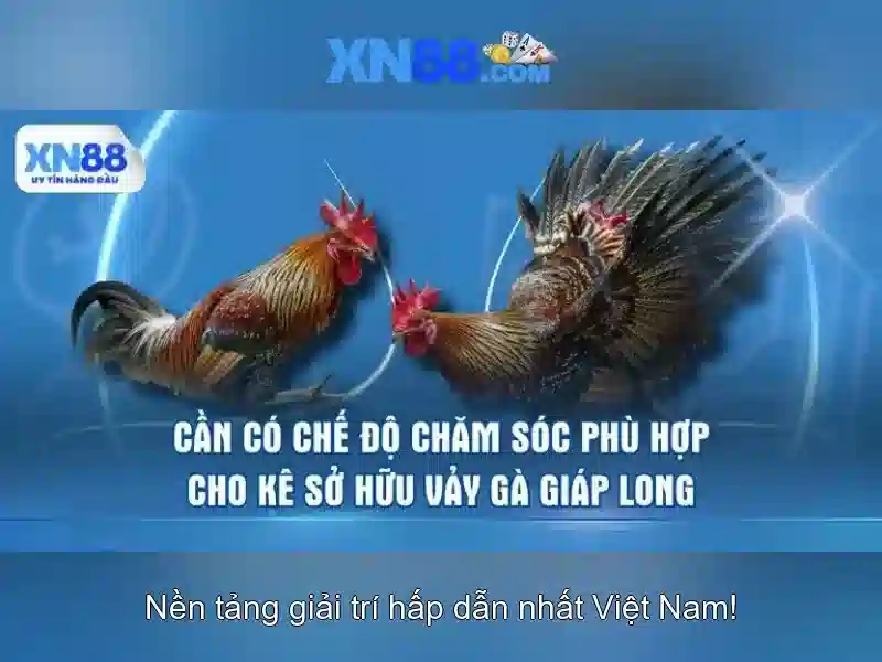 xn88: Nền tảng giải trí trực tuyến tại Việt Nam