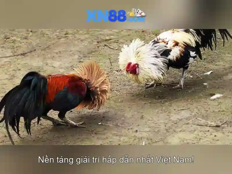 https://mozhesalon.com/images/text/xn88/xn88-text2603311551.webp
