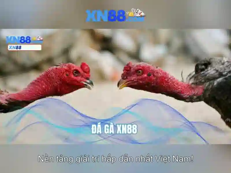 xn88: Nền tảng cá cược trực tuyến hàng đầu