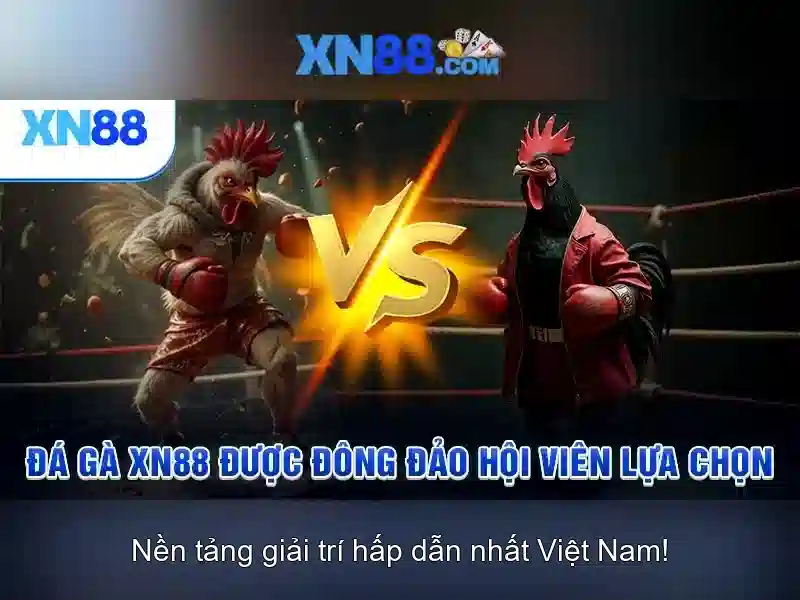 XN88: Tổng quan, an toàn và cách tham gia