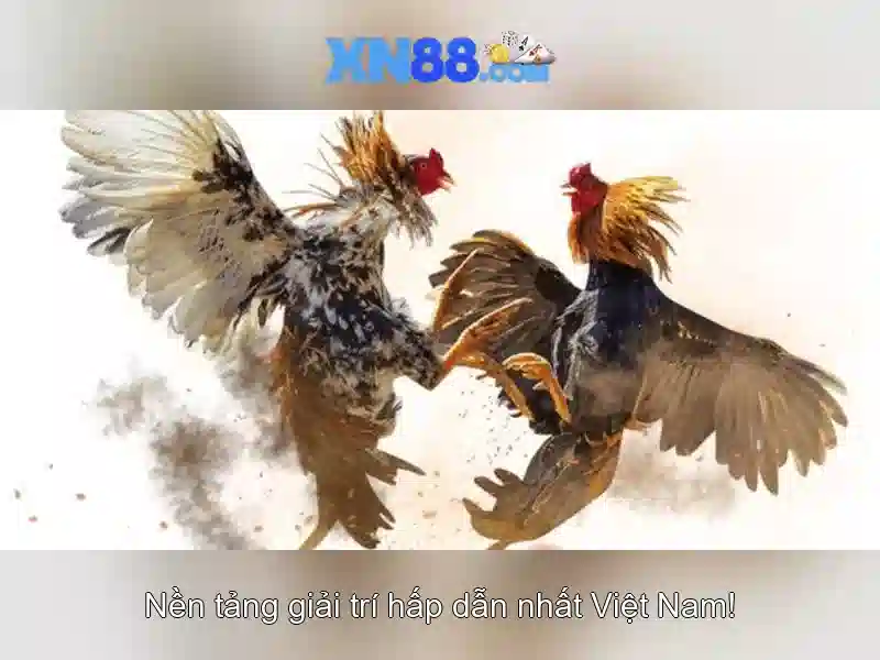 XN88: Nền tảng trò chơi trực tuyến an toàn và thú vị