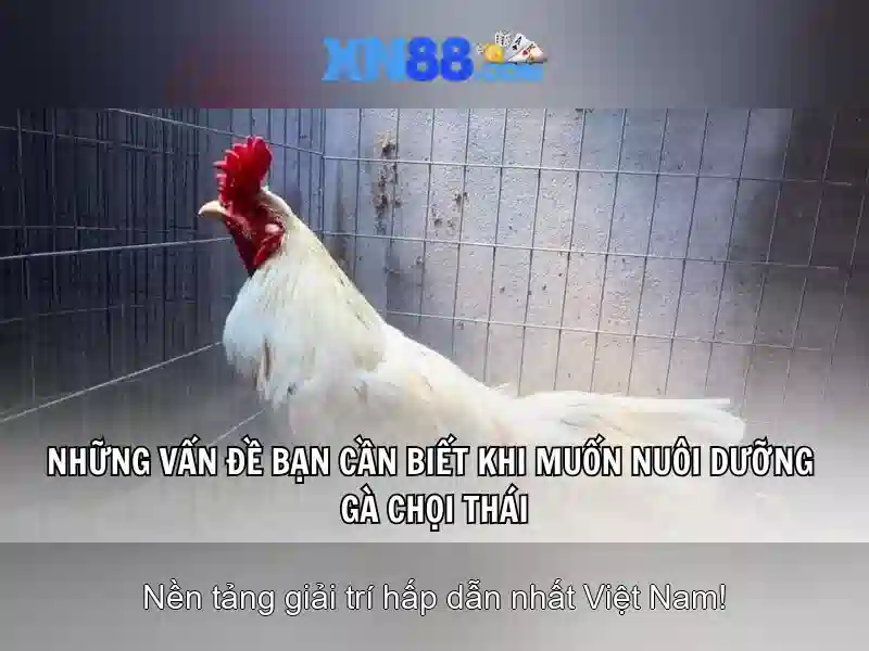 https://mozhesalon.com/images/text/xn88/xn88-text2603311921.webp
