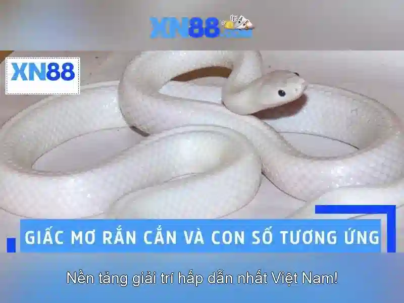 https://mozhesalon.com/images/text/xn88/xn88-text2603312007.webp