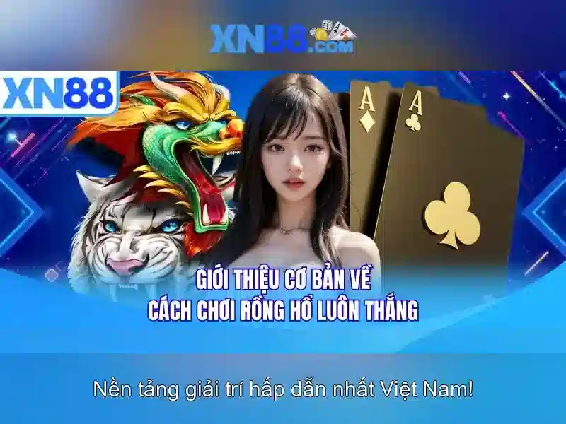 xn88: Giới thiệu và những điều cần biết