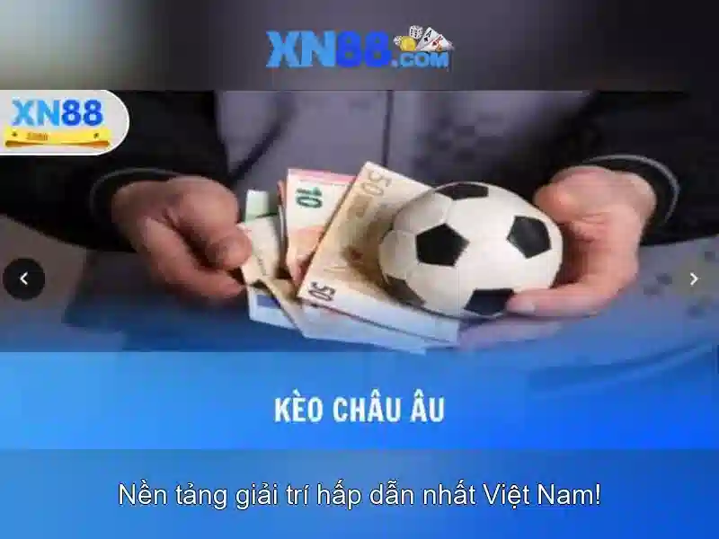 https://mozhesalon.com/images/text/xn88/xn88-text2603312508.webp