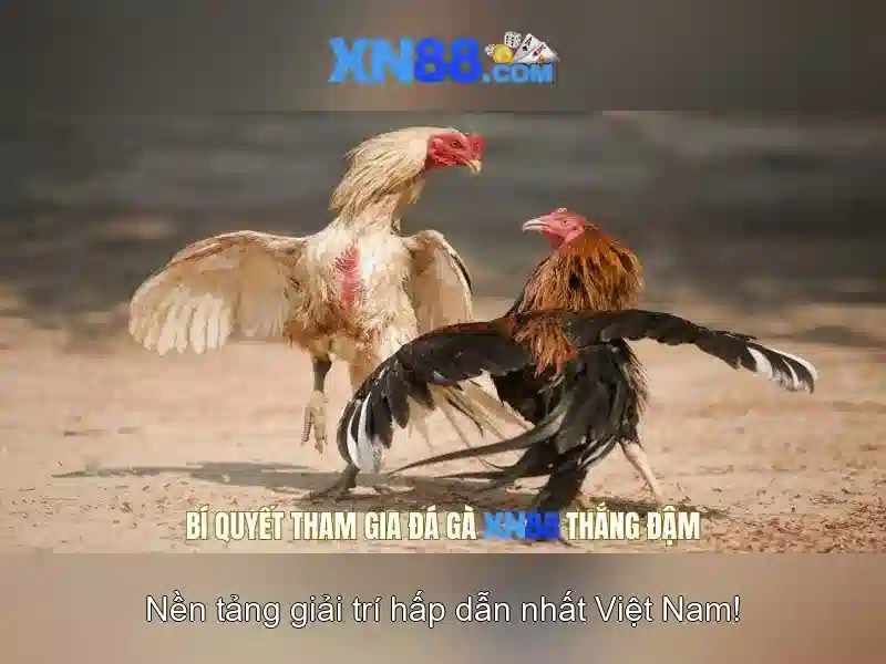 https://mozhesalon.com/images/text/xn88/xn88-text2603313022.webp