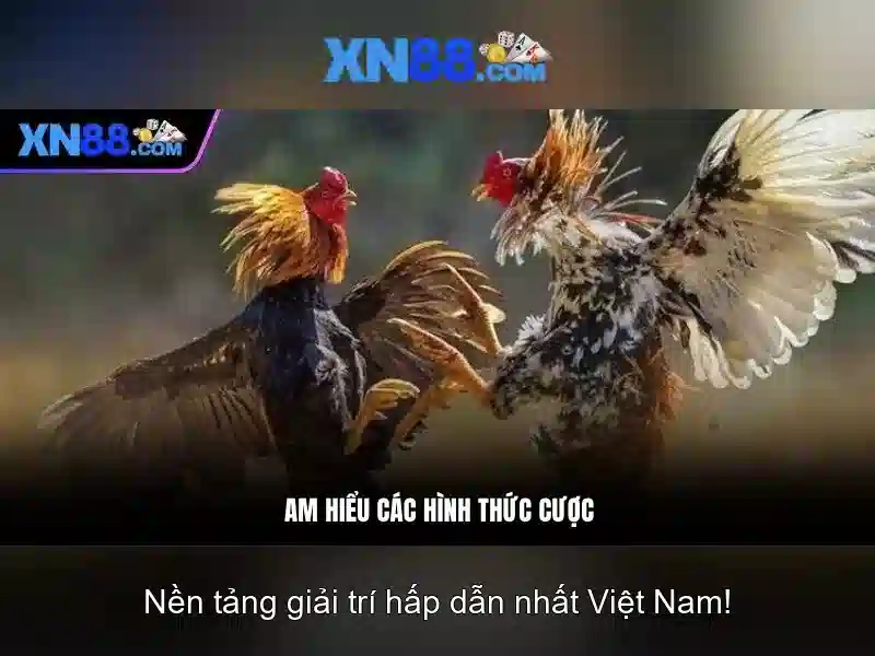 https://mozhesalon.com/images/text/xn88/xn88-text2603313041.webp