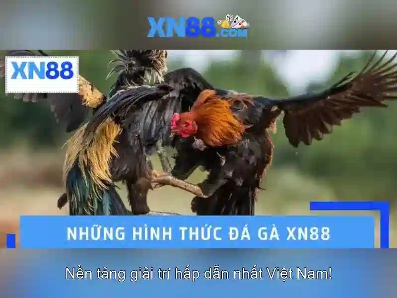 https://mozhesalon.com/images/text/xn88/xn88-text2603313361.webp