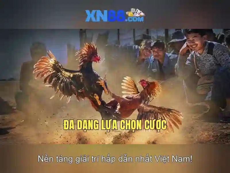 https://mozhesalon.com/images/text/xn88/xn88-text260331353.webp