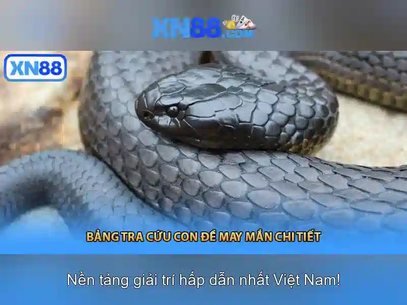 xn88: Giới thiệu, tính năng và ảnh hưởng
