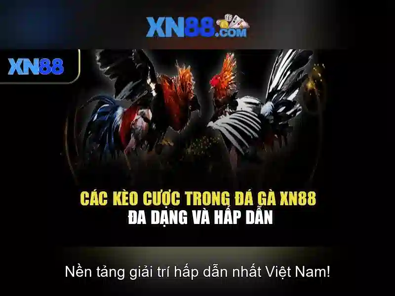 xn88 – Tổng quan về nền tảng trò chơi trực tuyến
