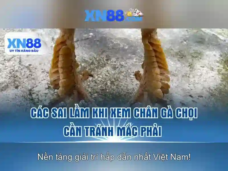 https://mozhesalon.com/images/text/xn88/xn88-text260331996.webp