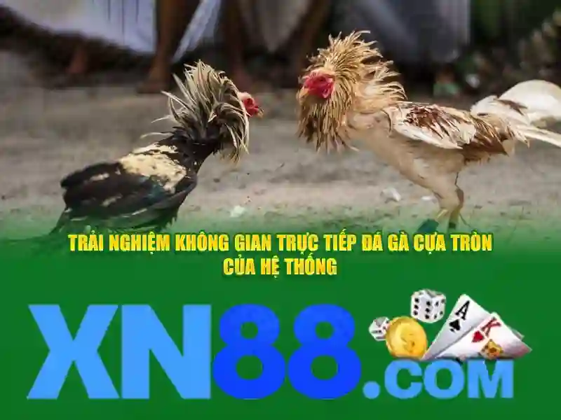 xn88 win – Trải nghiệm đỉnh cao và đánh giá chi tiết
